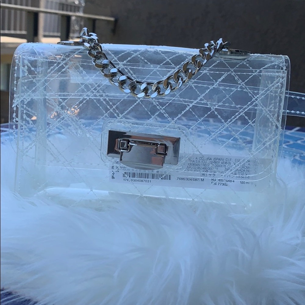 Zara Clear Belt Bag